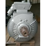 Електродвигун ARRK 354/8 132kWt Електродвигун ARRK 354/8 132kWt