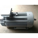Електродвигун ARRK 354/8 132kWt Електродвигун ARRK 354/8 132kWt