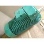 Електродвигун SMH-180 L6 Електродвигун SMH-180 L6