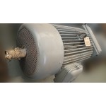 Електродвигун SH 250 2/6, 32кВт, 980 об/хв.