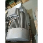 Електродвигун  SMH160 M6  10,5kWt