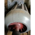 Електродвигун 2arrk 354-8 132kWt