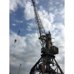 Альбатрос