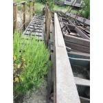 Альбатрос
